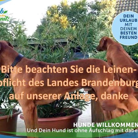 Jagd-Angler-Holzhaus-Im-Wald-Am-See Villa Kyritz Esterno foto