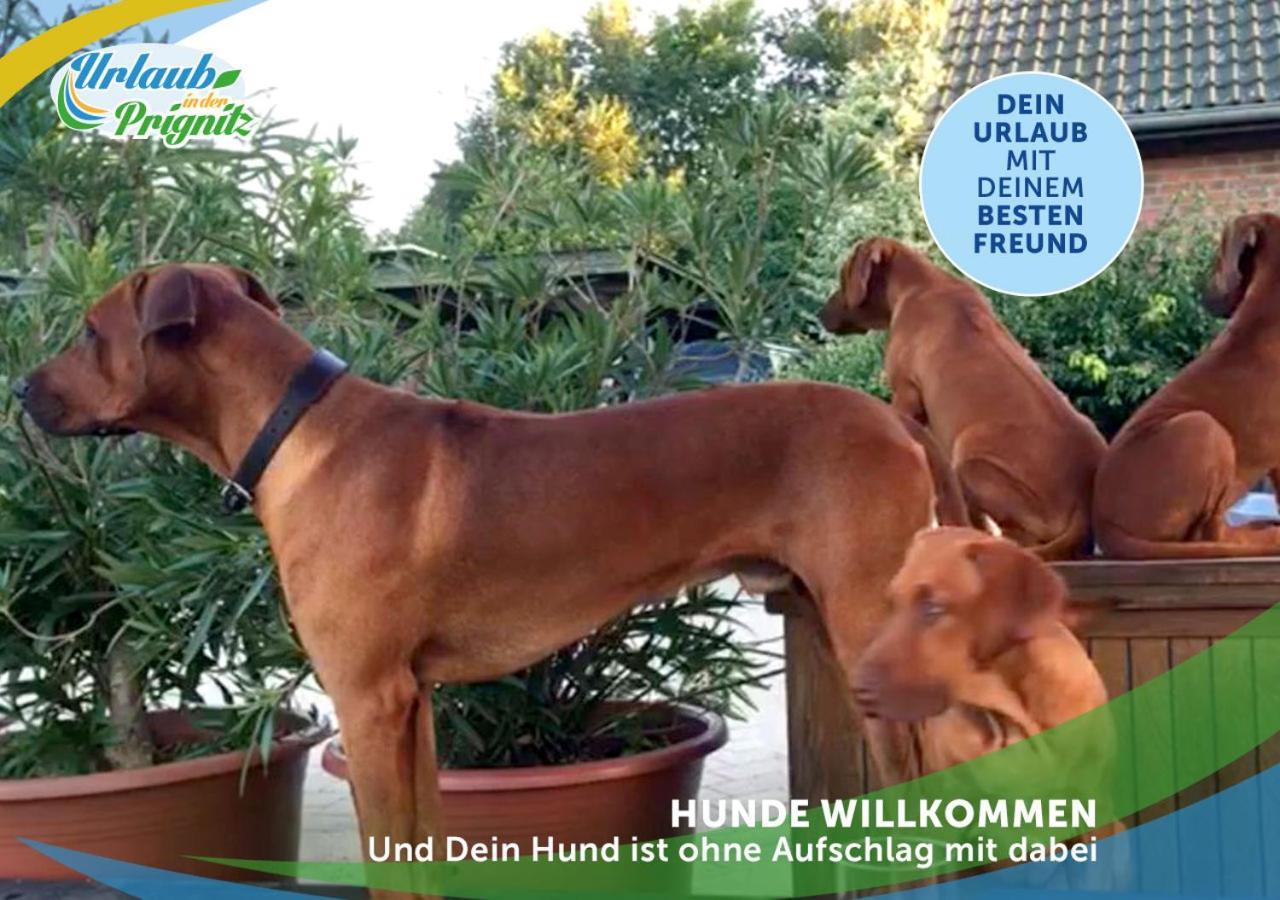 Jagd-Angler-Holzhaus-Im-Wald-Am-See Villa Kyritz Esterno foto